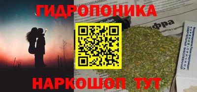 jwh Ирбит